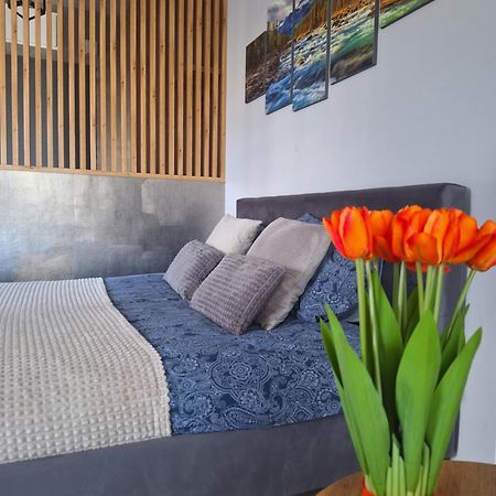 Apartament Gorska Szarotka Nowy Targ Exterior photo