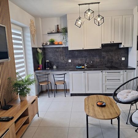 Apartament Gorska Szarotka Nowy Targ Exterior photo